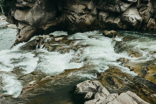 Rodéos et barbecues: un week-end en Guest Ranch