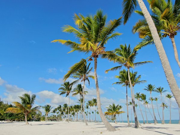 Top 5 des hôtels économiques pour un séjour abordable